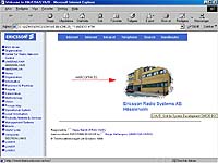 Totalrenovering av Intranetsite p&aring; ca. 3500 sidor samt Y2k -s&auml;kring, h&ouml;sten 1999
